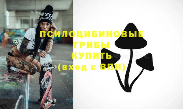 стаф Магадан
