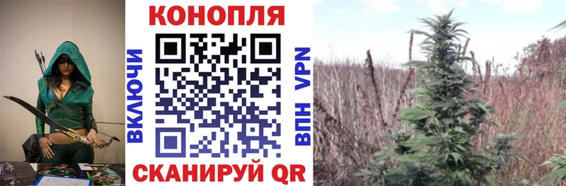 Шишки марихуана Amnesia Нариманов
